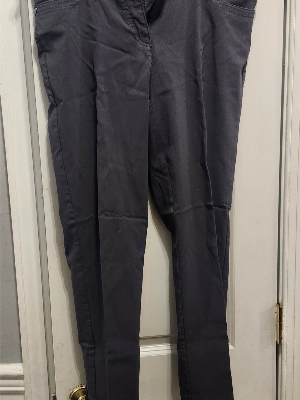 Woman’s Zac & Rachel Slim Fit Dark Gray Pants